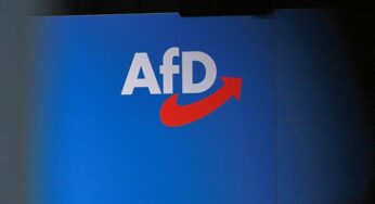 Institutionen warnen vor AfD-Regierung in Sachsen-Anhalt