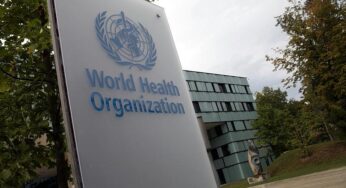 WHO ruft wegen Ebola-Ausbruch internationale Gesundheitsnotlage aus