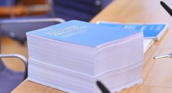 Bundestagsabgeordnete drängen nach Gutachten auf AfD-Verbotsprüfung