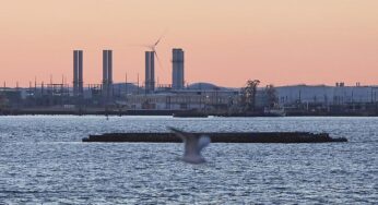 Siemens Energy erwägt Abspaltung von Industrie-Sparte