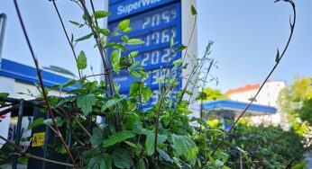 Sozialverband fordert Spritpreisdeckel