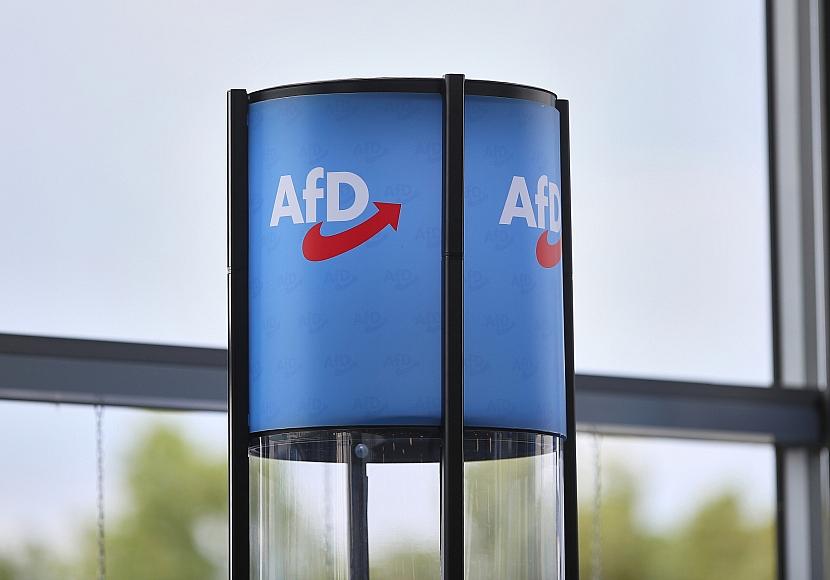 DIW warnt vor Ende der „Brandmauer“ zur AfD