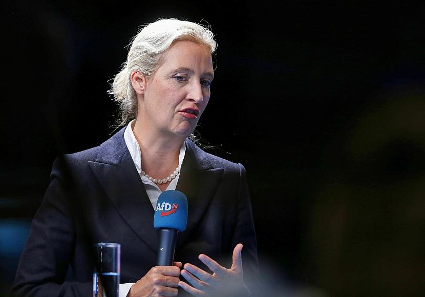 Weidel hält sich bei Reform von Unvereinbarkeitsliste bedeckt