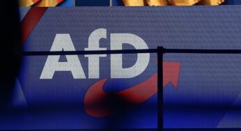Migrationsforscher wirft AfD Doppelstrategie vor
