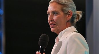 Politbarometer: AfD legt zu – Grüne und Linke verlieren