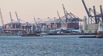 EU-Parlamentarier erwartet Ende der US-Zölle bis 2029