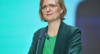 Brantner schwört Grünen-Mitglieder auf „schwierige Kompromisse“ ein
