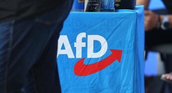 Israels Ex-Botschafter Stein: Brandmauer zur AfD ist gescheitert