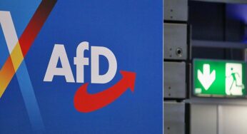 AfD meldet Brandanschlag auf Auto der Partei in Darmstadt