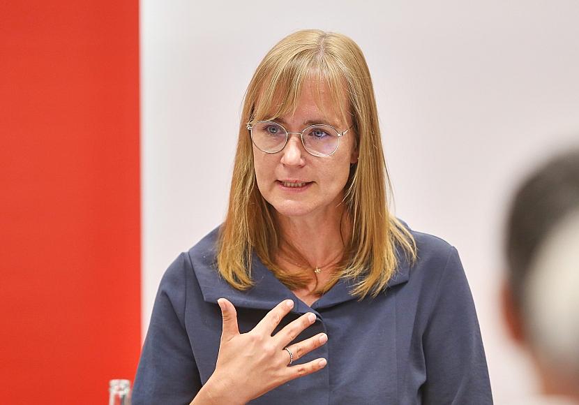 Linke erhöht Druck auf CDU in Sachsen-Anhalt