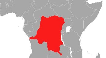 Über 2.000 Ebola-Tote im Kongo