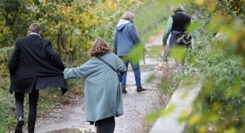 Bildungsunterschiede bei jüngeren Paaren geringer als bei älteren