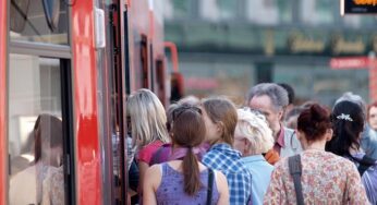 Anzahl der Fahrgäste im Nahverkehr mit Bahnen und Bussen gestiegen