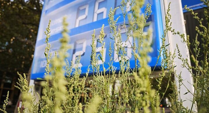 Unfassbar: Experte enthüllt wie lange Erdöl noch reichen wird