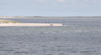 CCS-Experte kritisiert Reiches Pläne für CO2-Endlager unter Nordsee