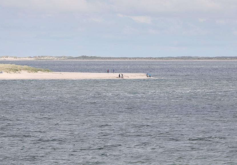 CCS-Experte kritisiert Reiches Pläne für CO2-Endlager unter Nordsee